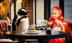 Dinner with a Penguin